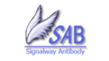 Signalway Antibody (SAB)