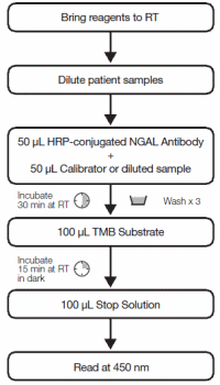 Human NGAL Rapid ELISA Kit 037, Quick Protocol Guide