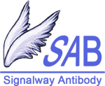 Signalway