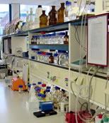 Laboratory Reagents