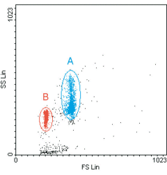 Forward scatter (Fs lin) and side scatter (Ss lin) are used to distinguish the two bead sizes