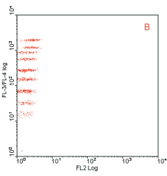 data from Region B is exported to a FL3/4 versus FL2 plot. The nine populations (spectral addresses) of the 4um beads are clearly distinguished