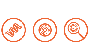 Cellular Materials