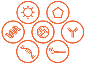 Custom Services