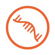 CRISPR Knockout Vectors and Virus