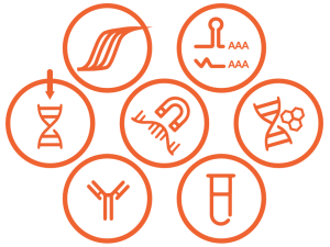 General Molecular Biology Materials