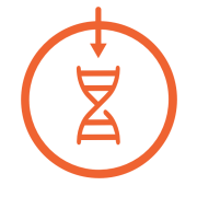 Transfection Reagents