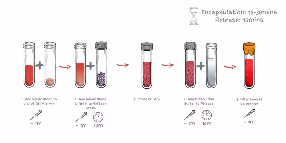 BloodReady Workflow