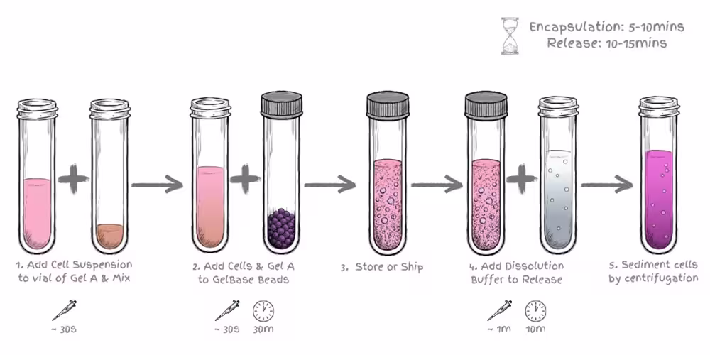 CytoStor Workflow