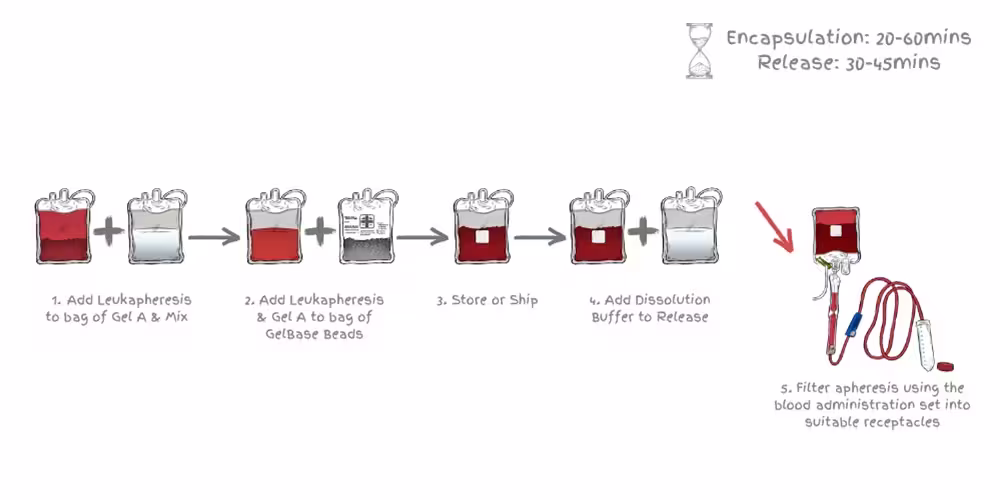 LeukoStor Workflow