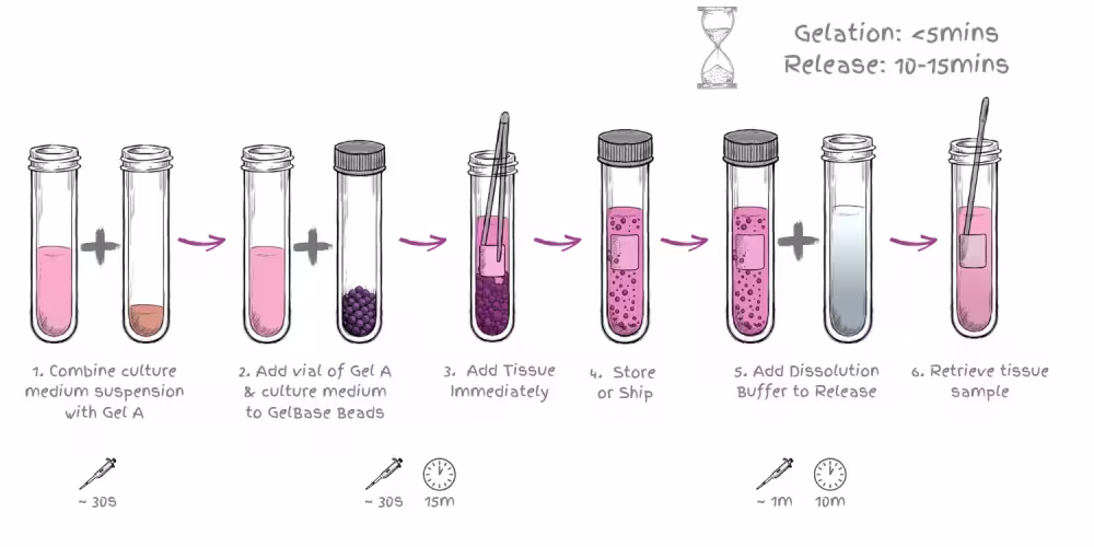 TissueReady Workflow