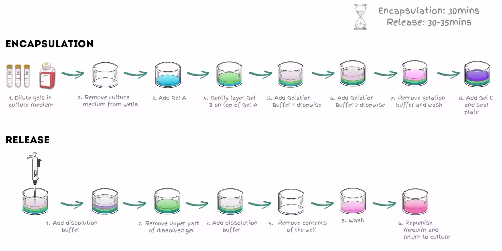 WellReady Workflow