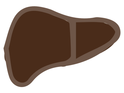 Liver Products Liver Products