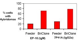 Example of Hybridoma Cloning