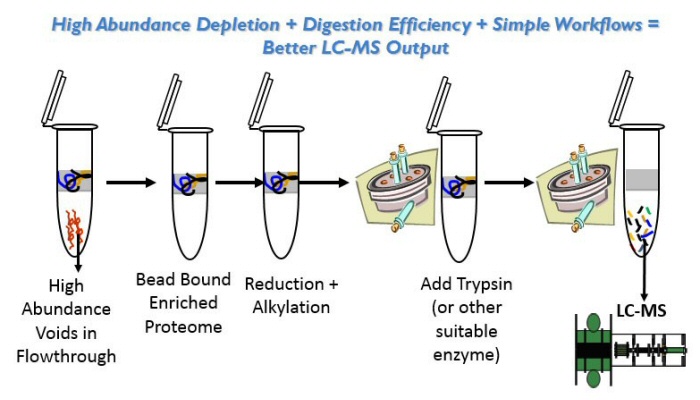 High Abundance Depletion + Digestion Efficiency + Simple Workflow = Better LC-MS Output