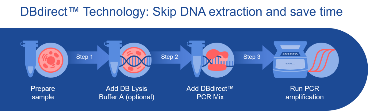 Scheme-1-DBdirect-PCR