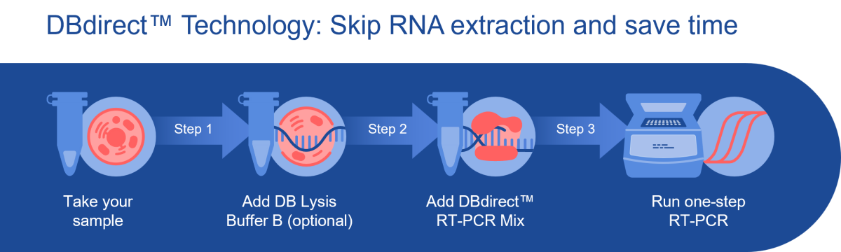 Scheme-1-DBdirect-RT-PCR-Mixes