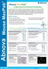 Mouse MaxPab® : A New Breed of Polyclonal Antibodies