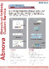 Custom Service for Monoclonal Antibody Production