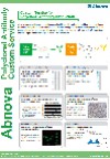 Custom Service for Polyclonal Antibody Production