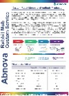 Custom Rabbit Monoclonal Antibody Production