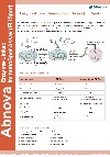 Enzyme-Linked ImmunoSpot Assay (ELISpot)