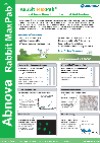 Rabbit MaxPab - A New Breed of Polyclonal Antibodies