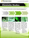 Complete Solutions for Chromatin Studies Flyer