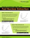 Fast Nuclear Extraction