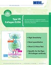 Type VII Collagen ELISA