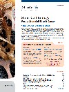 Stem Cell Fate and Cancer