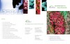 AllCells Brochure