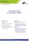 Human ESM-1 ELISA Product Flyer
