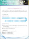 Custom Service from Cloud-Clone Corp.