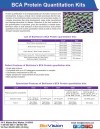 BCA Protein Quantitation Kits