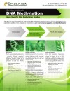Complete Solutions for DNA Methylation: Gene Specific DNA Methylation Studies