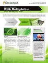 Complete Solutions for DNA Methylation: Global DNA Methylation Studies Flyer
