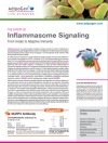 Inflammasome Signalling: From Innate to Adaptive Immunity