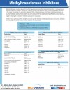 Methyltransferase Inhibitors