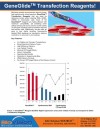 GeneGlide™Transfection Reagents!