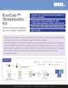 ExoCap™ Streptavidin Kit