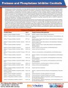 Protease and Phosphatase Inhibitor Cocktails