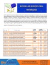 Biosimilar Monoclonal Antibodies