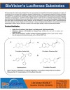 BioVision’s Luciferase Substrates