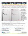 EnzMet™ for Western Blots: Enzymatic silver deposition for HRP detection on Western Blots