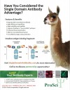 Have You Considered the Single Domain Antibody Advantage?