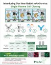 New Rabbit mAb Service: Single Plasma Cell Cloning