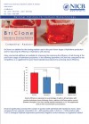 BriClone Competitor Analysis