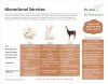 Monoclonal Services