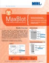 MaxBlot: Western blotting and ELISA signal enhancer
